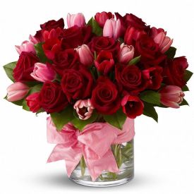  Pink and Red Roses in v...